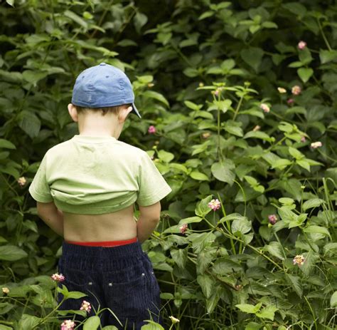 niños haciendo pipi en un arbol|Una breve historia sobre por qué se hicieron tantas estatuas de。